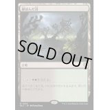 [EX+]緑ばんだ沼/Viridescent Bog《日本語》【BLC】