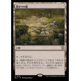 [EX+]群がりの庭/Swarmyard《日本語》【BLC】