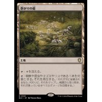 [EX+]群がりの庭/Swarmyard《日本語》【BLC】
