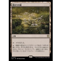 画像1: [EX+]群がりの庭/Swarmyard《日本語》【BLC】