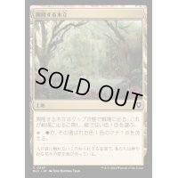 興隆する木立/Thriving Grove《日本語》【BLC】