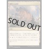 [EX+]興隆する絶壁/Thriving Bluff《日本語》【BLC】