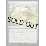 [EX+]苔汁の橋/Mosswort Bridge《日本語》【BLC】