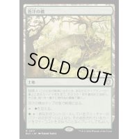 苔汁の橋/Mosswort Bridge《日本語》【BLC】