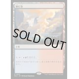 [EX+]蝕む池/Ferrous Lake《日本語》【BLC】