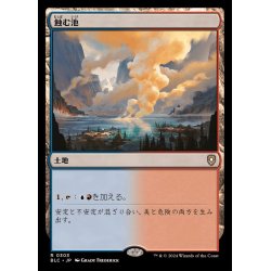 画像1: 蝕む池/Ferrous Lake《日本語》【BLC】