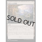 [EX+]進化する未開地/Evolving Wilds《日本語》【BLC】