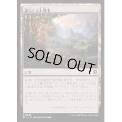 画像1: 進化する未開地/Evolving Wilds《日本語》【BLC】