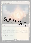 [EX+]陽花弁の木立ち/Sunpetal Grove《日本語》【BLC】