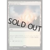 [EX+]陽花弁の木立ち/Sunpetal Grove《日本語》【BLC】