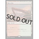 [EX+]隠れた茂み/Sheltered Thicket《日本語》【BLC】