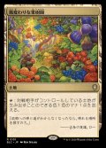 [EX+]風変わりな果樹園/Exotic Orchard《日本語》【BLC】