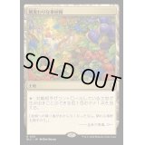 [EX+]風変わりな果樹園/Exotic Orchard《日本語》【BLC】