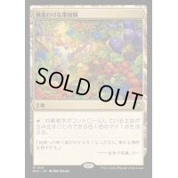 風変わりな果樹園/Exotic Orchard《日本語》【BLC】