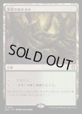 [EX+]黄昏のぬかるみ/Twilight Mire《日本語》【BLC】