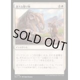 [EX+]過大な贈り物/Generous Gift《日本語》【BLC】