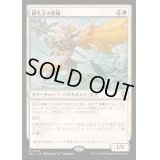 [EX+]鋼毛玉の英雄/Steelburr Champion《日本語》【BLC】