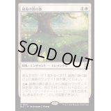 [EX+]雄鹿の蹄の跡/Hoofprints of the Stag《日本語》【BLC】
