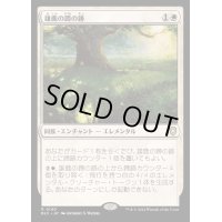 [EX+]雄鹿の蹄の跡/Hoofprints of the Stag《日本語》【BLC】
