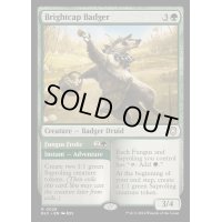 [EX+]輝き茸のアナグマ/Brightcap Badger《英語》【BLC】