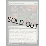 [EX+]合同醸造/Communal Brewing《英語》【BLC】