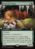 (フルアート)常緑皮の熊/Evercoat Ursine《英語》【BLC】