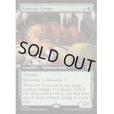 [EX+](フルアート)常緑皮の熊/Evercoat Ursine《英語》【BLC】