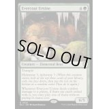 [EX+]常緑皮の熊/Evercoat Ursine《英語》【BLC】