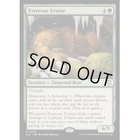 常緑皮の熊/Evercoat Ursine《英語》【BLC】