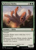 カロニアのハイドラ/Kalonian Hydra《英語》【BLC】
