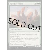 [EX+]カロニアのハイドラ/Kalonian Hydra《英語》【BLC】