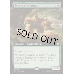 画像1: (フルアート)リスの小走り/Scurry of Squirrels《英語》【BLC】