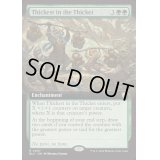 [EX+](フルアート)茂みの最奥/Thickest in the Thicket《英語》【BLC】