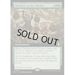 画像1: (フルアート)茂みの最奥/Thickest in the Thicket《英語》【BLC】