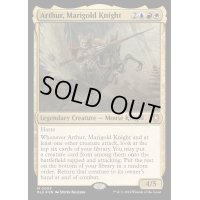 (FOIL)マリーゴールドの騎士、アーサー/Arthur, Marigold Knight《英語》【BLC】