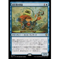 画像1: [EX+]両生類の神童/Pollywog Prodigy《日本語》【BLC】