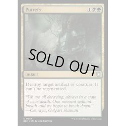 画像1: [EX+]化膿/Putrefy《英語》【BLC】