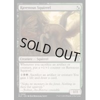 [EX+]貪欲なるリス/Ravenous Squirrel《英語》【BLC】