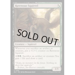 画像1: [EX+]貪欲なるリス/Ravenous Squirrel《英語》【BLC】