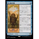[EX]占い師の才能/Fortune Teller's Talent《日本語》【BLC】