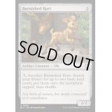 [EX+]つややかな雄鹿/Burnished Hart《英語》【BLC】