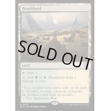 [EX+]低木林地/Brushland《英語》【BLC】