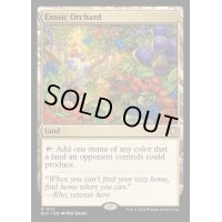 [EX+]風変わりな果樹園/Exotic Orchard《英語》【BLC】