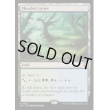 [EX+]溢れかえる果樹園/Flooded Grove《英語》【BLC】