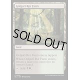 [EX+]ゴルガリの腐敗農場/Golgari Rot Farm《英語》【BLC】