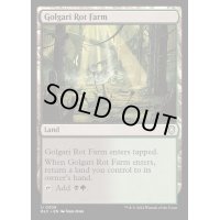 [EX+]ゴルガリの腐敗農場/Golgari Rot Farm《英語》【BLC】