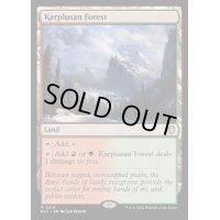 [EX+]カープルーザンの森/Karplusan Forest《英語》【BLC】