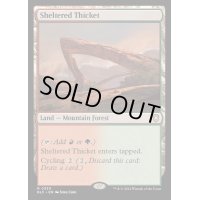[EX+]隠れた茂み/Sheltered Thicket《英語》【BLC】