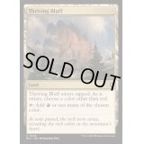 [EX+]興隆する絶壁/Thriving Bluff《英語》【BLC】