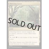 [EX+]興隆する木立/Thriving Grove《英語》【BLC】